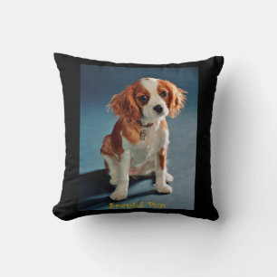 Cute Puppy Charles ~ Cavalier King Spaniel ~ & ~ Cushion