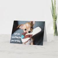 Cute Puppy Chihuahua Birthday from Dog