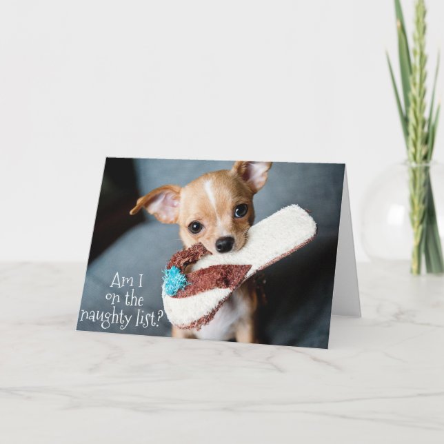 Cute Puppy Chihuahua Christmas from Dog Card (Front)