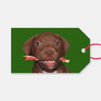Cute puppy Christmas Gift Tags