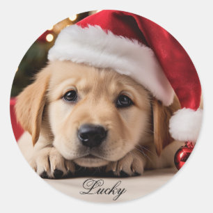 Cute puppy. Christmas Retriever puppy Classic Round Sticker