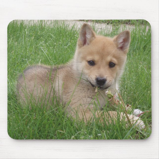 Cute Puppy Computer Mousepad (Front)