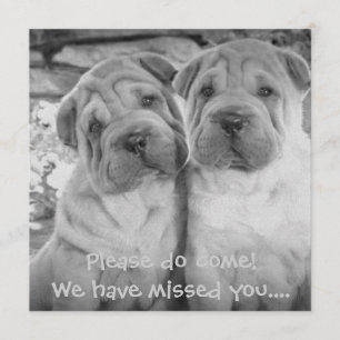 Cute Puppy Couple Personalised Party Invites