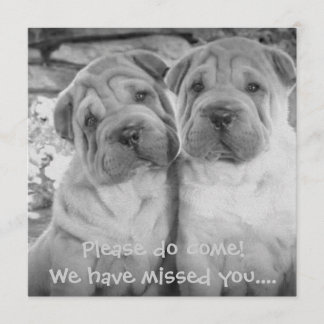 Cute Puppy Couple Personalised Party Invites