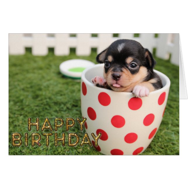 Cute puppy dog (Front Horizontal)