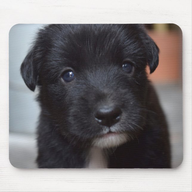 Cute Puppy Dog Animal Mouse Mat (Front)