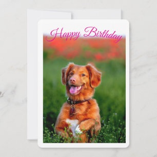 Cute Puppy Dog Birthday Party Invitation