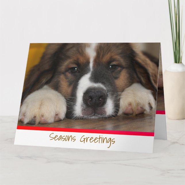 Cute Puppy Dog Card (Front)