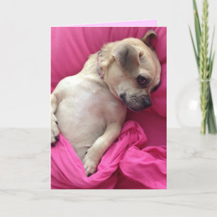 Cute Puppy Dog Chug in Pink Sheets Greeting Card