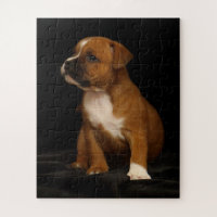 Cute Puppy Dog English Staffordshire Bull Terrier