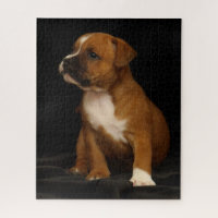 Cute Puppy Dog English Staffordshire Bull Terrier