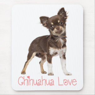 Cute Puppy Dog Gift Long Hair Funny Chihuahua Mouse Mat
