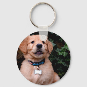 Cute puppy dog Golden Retriever Puppy Key Ring