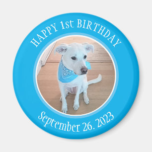 Cute Puppy Dog in Blue Scarf Happy 1st Birthday Magnet