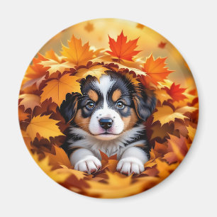 Cute Puppy Dog in Fall Leaves Magnet