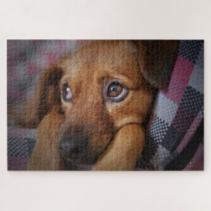 Cute Puppy Dog Jigsaw Puzzle