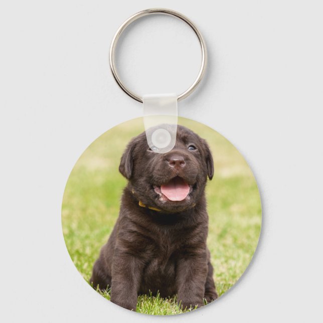Cute puppy dog key ring (Front)