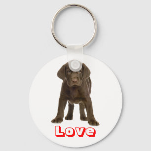 Cute Puppy Dog Love Chocolate Labrador Retriever  Key Ring