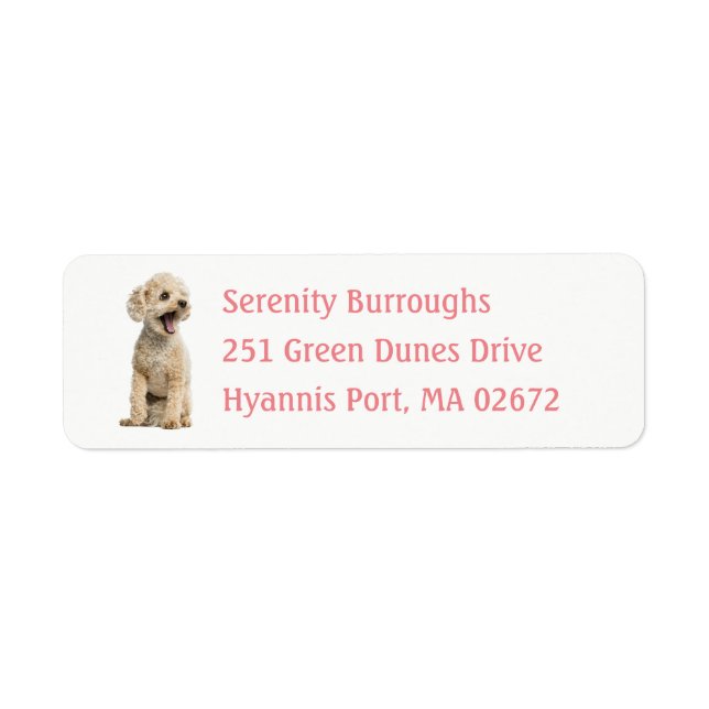 Cute Puppy Dog Lover Apricot Miniature Poodle  Lab (Front)