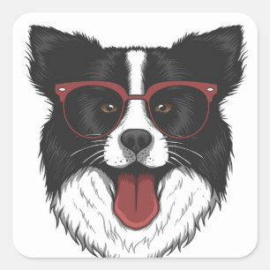 Cute Puppy Dog Lover Black White Border Collie Square Sticker