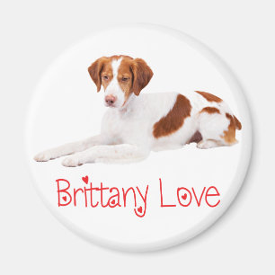 Cute Puppy Dog Lover Brittany Spaniel Magnet