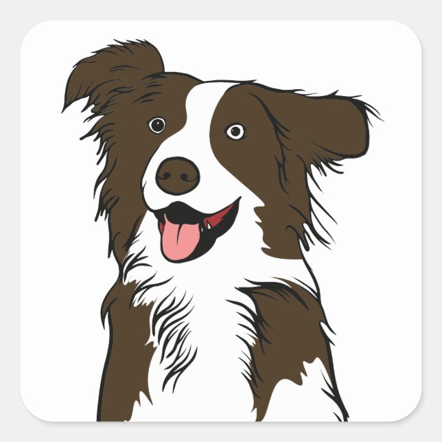 Cute Puppy Dog Lover Brown White Border Collie   Square Sticker (Front)