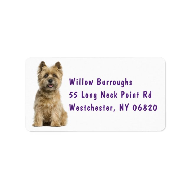 Cute Puppy Dog Lover Cairn Terrier Label (Front)