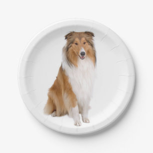 Cute Puppy Dog Lover Collie Paper Plate