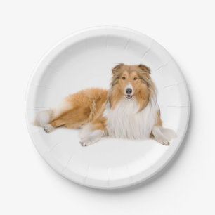 Cute Puppy Dog Lover Collie Paper Plate