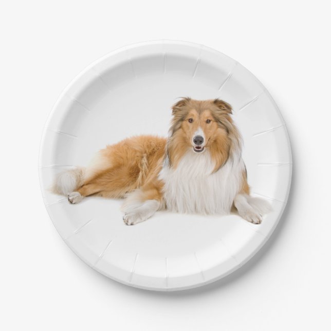 Cute Puppy Dog Lover Collie Paper Plate (Front)