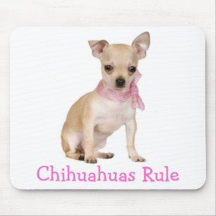 Cute Puppy Dog Lover Funny Chihuahua Mouse Mat