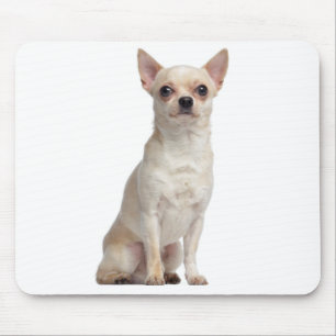 Cute Puppy Dog Lover Gift Funny Chihuahua Mouse Mat