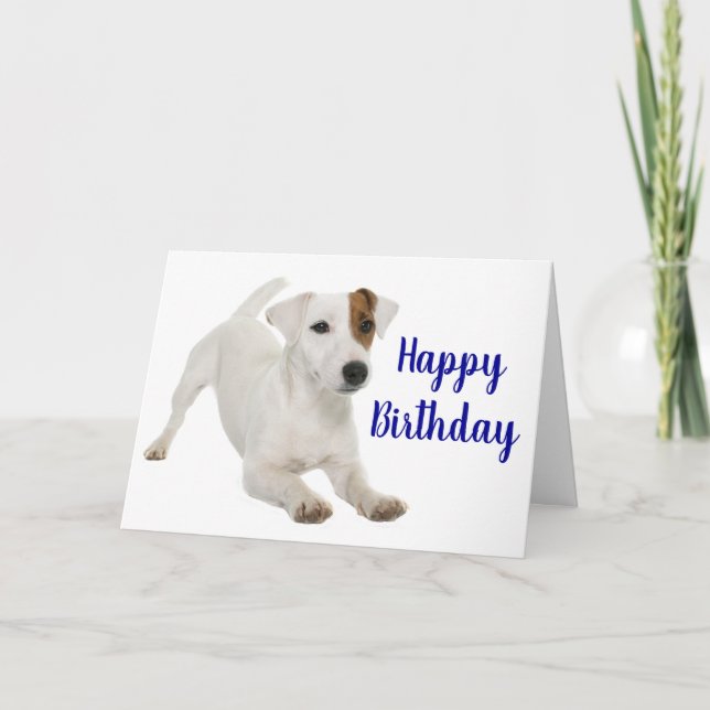 Cute Puppy Dog Lover Jack Russell Terrier Birthday Card (Front)
