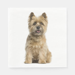 Cute Puppy Dog Lover Party Cairn Terrier Favour Ba Napkin
