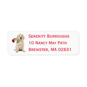 Cute Puppy Dog Lovers Golden Retriever