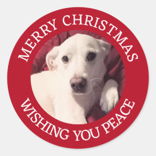 Cute Puppy Dog Merry Christmas Peace Red Classic Round Sticker