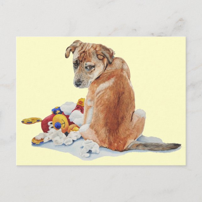Cute puppy dog mixed breed with teddy realist art postcard (Front)