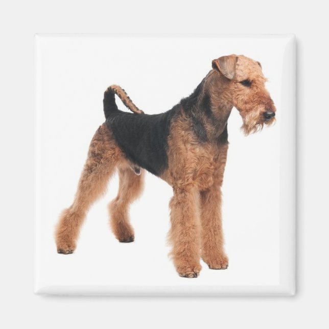 Cute Puppy Dog Mum Dog Lover Airedale Terrier Magnet (Front)