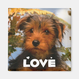 Cute Puppy Dog Mum Dog Lover Airedale Terrier Magnet