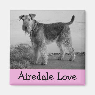 Cute Puppy Dog Mum Dog Lover Airedale Terrier Magnet