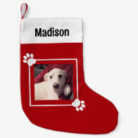 Cute Puppy Dog Photo Merry Christmas Paws