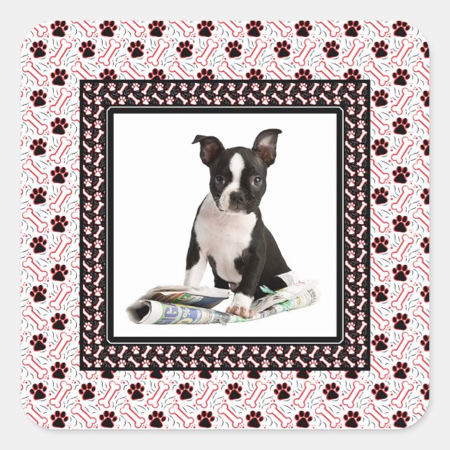 Cute Puppy Dog Photo Paw and Bone Template Square Sticker (Front)
