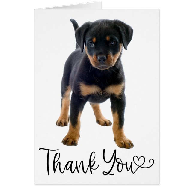 Cute Puppy Dog Rottweiler Thank You (Front)