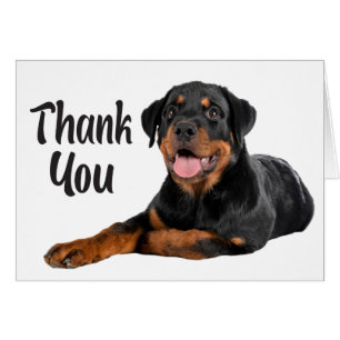Cute Puppy Dog Rottweiler Thank You
