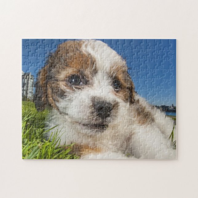 Cute puppy dog (Shitzu) Jigsaw Puzzle (Horizontal)