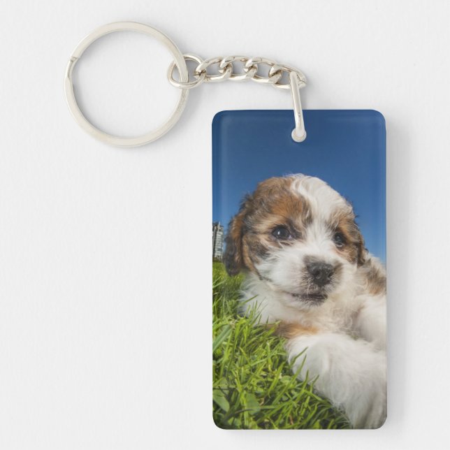Cute puppy dog (Shitzu) Key Ring (Front)