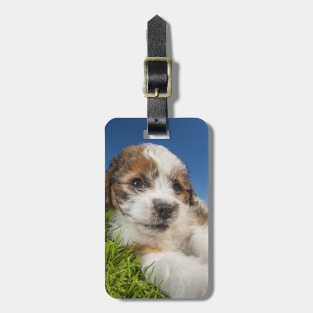 Cute puppy dog (Shitzu) Luggage Tag (Front Vertical)