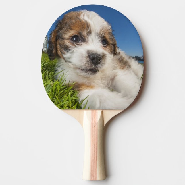 Cute puppy dog (Shitzu) Ping Pong Paddle (Front)