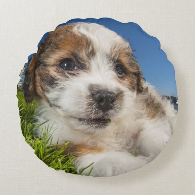 Cute puppy dog (Shitzu) Round Cushion (Front)