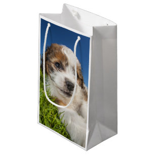 Cute puppy dog (Shitzu) Small Gift Bag